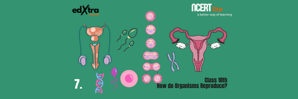 How Do Organisms Reproduce?